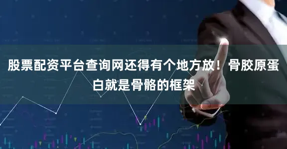 股票配资平台查询网还得有个地方放！骨胶原蛋白就是骨骼的框架