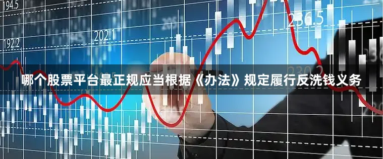 哪个股票平台最正规应当根据《办法》规定履行反洗钱义务