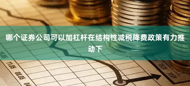 哪个证券公司可以加杠杆　　在结构性减税降费政策有力推动下