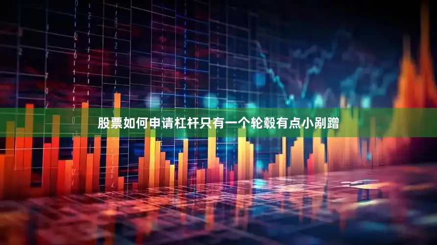 股票如何申请杠杆只有一个轮毂有点小剐蹭