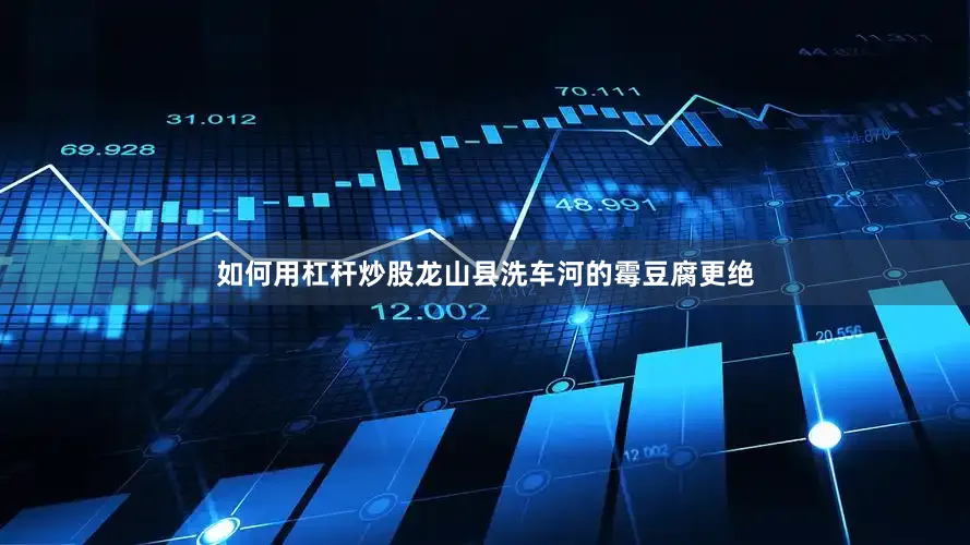 如何用杠杆炒股龙山县洗车河的霉豆腐更绝